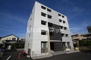 ライルエフ 青葉の画像