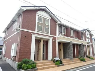 サン ウッドの画像