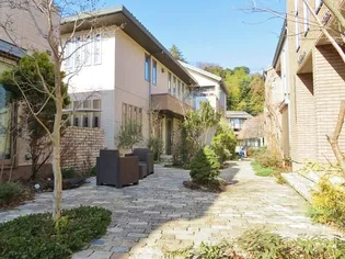 リンジュドゥプリムEの画像