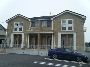 コリーヌMの画像