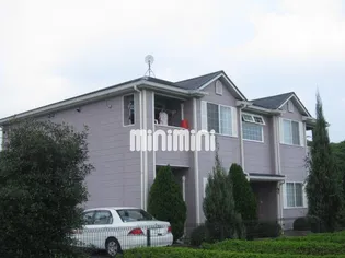 センティフォリアの画像