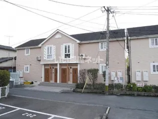 プラシードパルコの画像