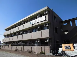 ライトコートの画像