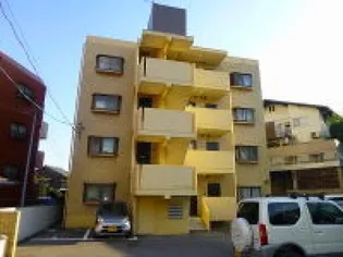 グレース古江の画像