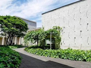 APARTMENT傳の画像