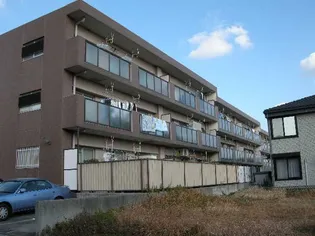 ドルチェの画像