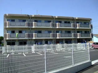 グレース岩井の画像