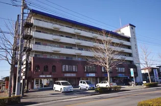 サイトーの画像