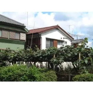 狛江荘【2階】の外観