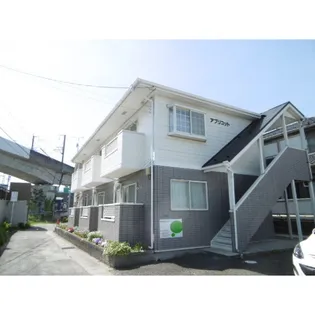 アプリコットの画像