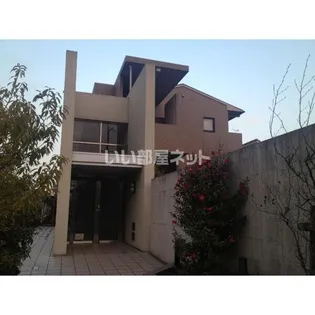 コージーオオトリの画像