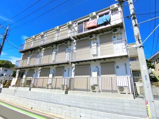 昭栄エクセレント51の画像