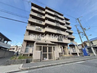 メゾンセレナ【5階】の外観