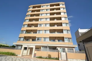 サイドアイの画像