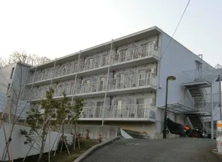 ヴァルト神の画像