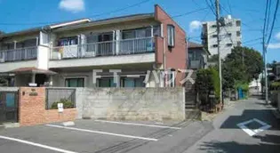 ドリームユーカリの画像