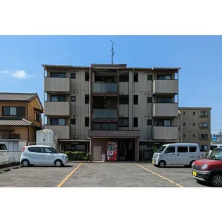 サンライズ タケソウの画像