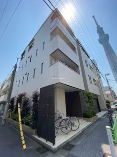 フェリシア向島【1階】の外観