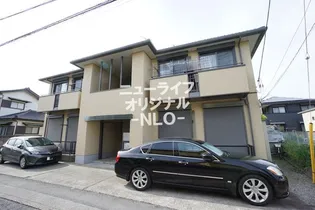 SOLEADOの画像