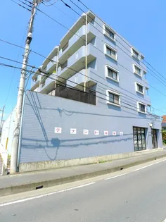 アティスの画像