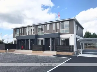 シェモアの画像