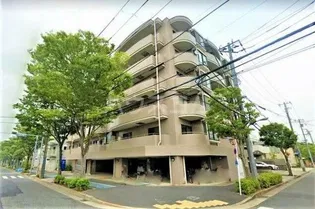 ベイシティマルゴの画像