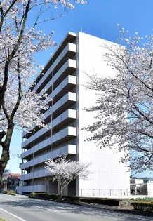 SEIWA LIVE 21の画像