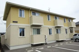 サニーシーズンの画像