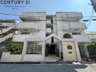 メゾン・ド・エル【4階】の外観