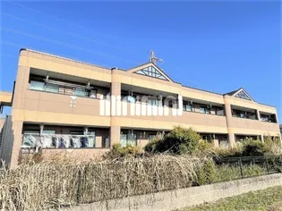 シャインエトワールの画像