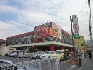 サンハイツ高安【4階】の周辺