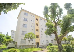 UR金剛団地 1号棟の画像