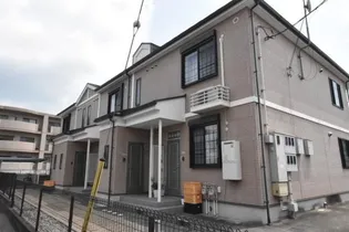 ポム ド テールBの画像