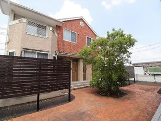 トレステーラUSA Aの画像