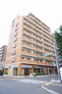 ロジェラフォーレの画像