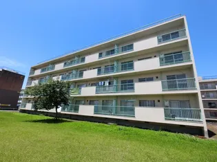 辰巳東ハイツH棟の画像