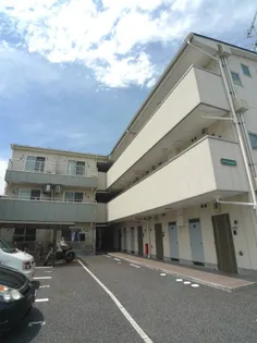 アイリッシュコートの画像