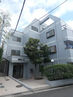 SOUTHERN GARDENの画像