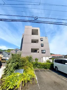 ルミナスの画像