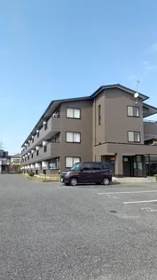 ヤングフォレストの画像