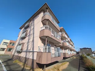 マンションブルースカイ【3階】の外観