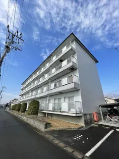 センチュリーハイアートの画像