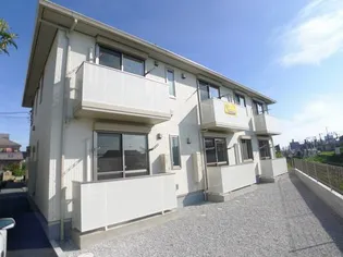 プルメリアの画像