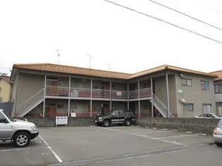 ノース カンパーニュの画像