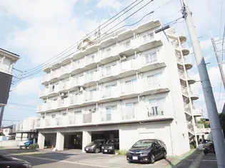 ビューパレー市川【4階】の外観