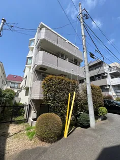 シャルマンはすみの画像