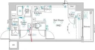 ラフィスタ練馬高野台【1階】の間取り
