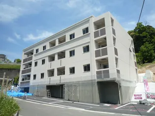 エムロイヤルの画像