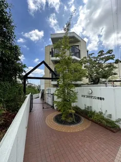 光建ハイムブリリアンス妙蓮寺の画像