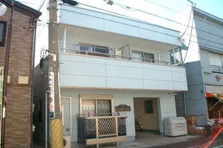 ゴールドクレストの画像